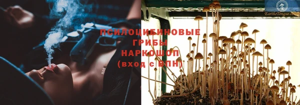 тгк Алзамай
