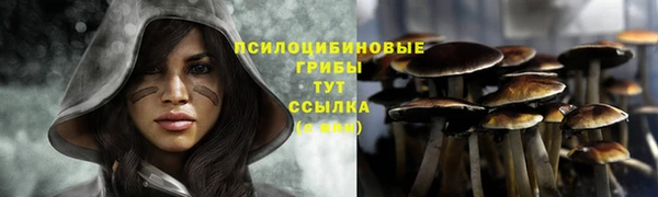 тгк Алзамай