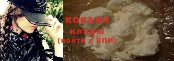 шишки Ростов